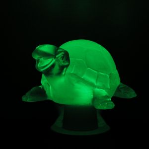 Grün - hier Lücht Schildkröte